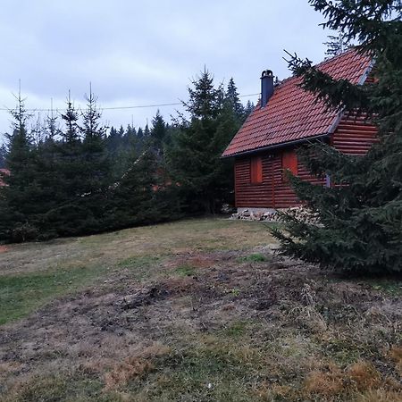 Vila Tijana Mitrovac Exteriör bild