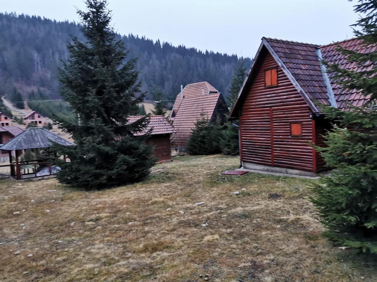 Vila Tijana Mitrovac Exteriör bild