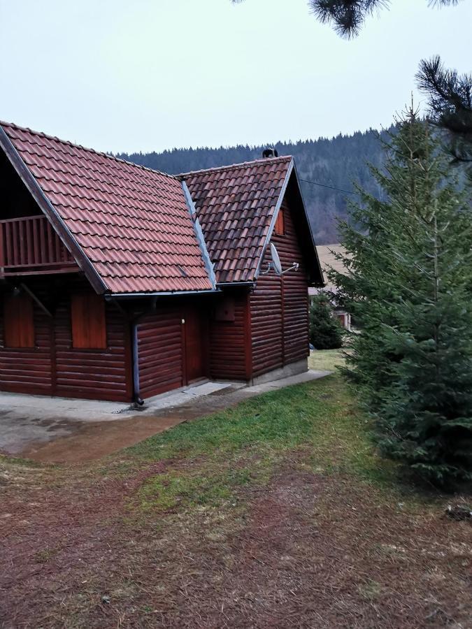 Vila Tijana Mitrovac Exteriör bild
