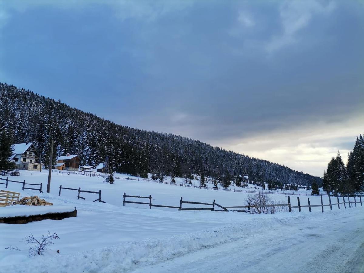 Vila Tijana Mitrovac Exteriör bild