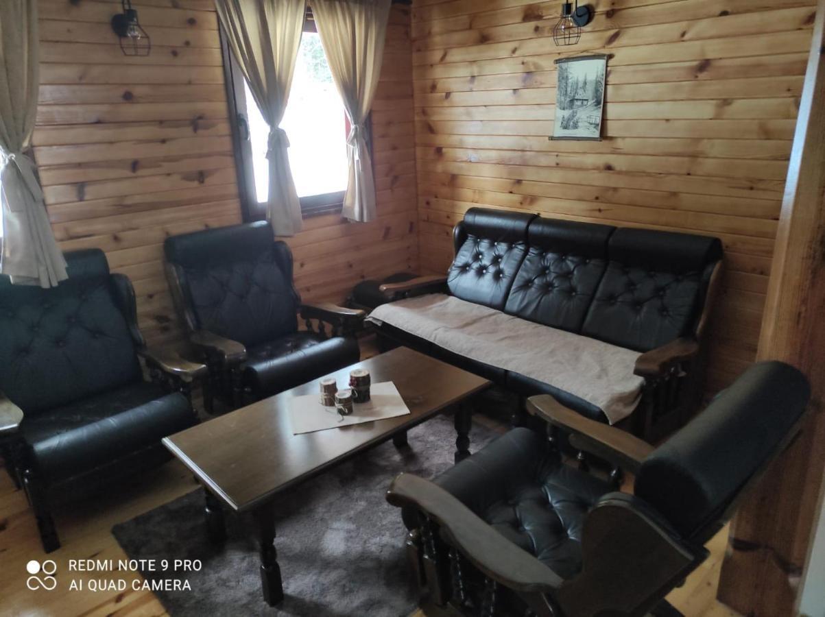Vila Tijana Mitrovac Exteriör bild