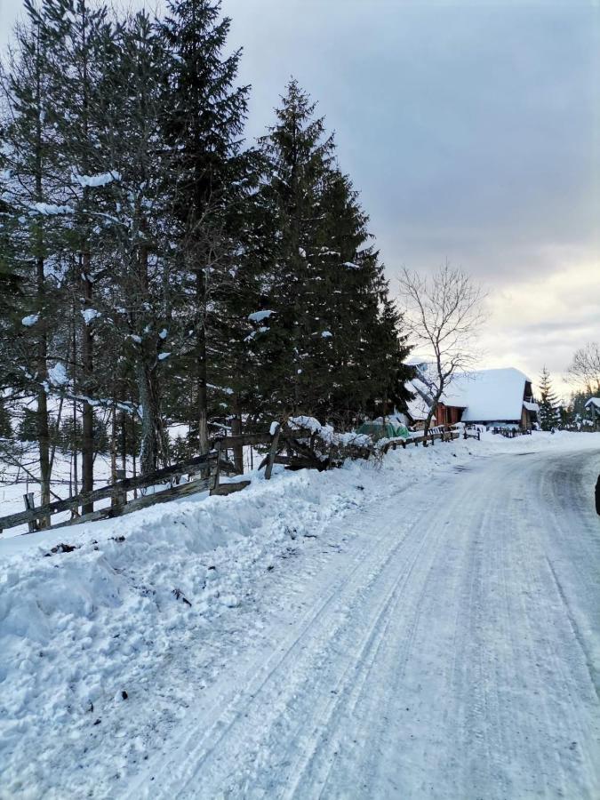 Vila Tijana Mitrovac Exteriör bild