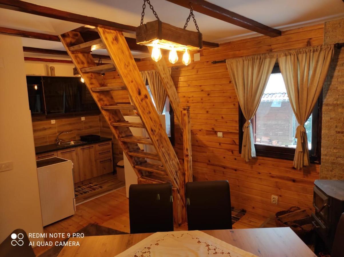 Vila Tijana Mitrovac Exteriör bild