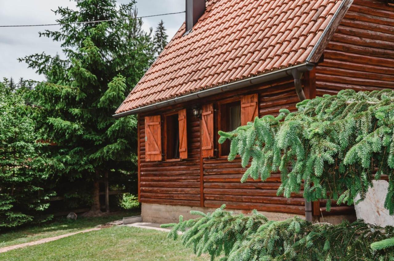 Vila Tijana Mitrovac Exteriör bild